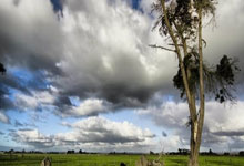 国足三连败到两连胜拼出希望 小组大乱战把握机会.