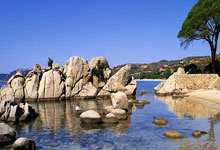 星空体育官网：托纳利：我已经不再用手机看无关信息，因此不会.